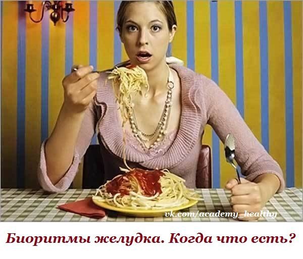 Биоритмы желудка. Когда что есть? Изучая меню долгожителей, ученые пришли к выводу: важно не только ...