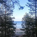 ���� ������, �����-��������� - ��������� 11 ������� 2016 � ������ ���� ����������