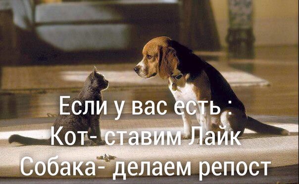    - 22  2016  02:14