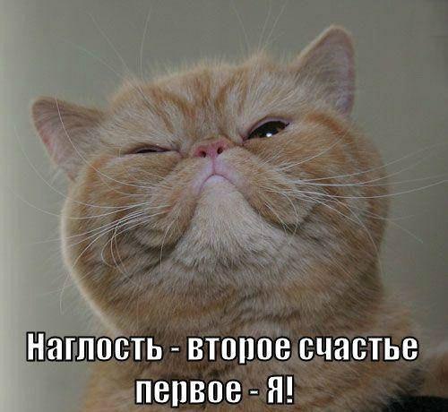    - 20  2017  20:11