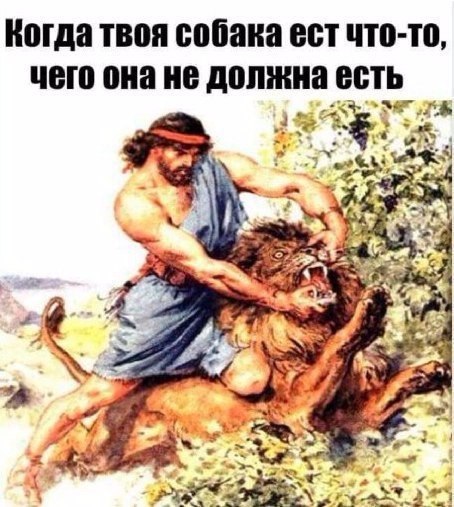  - 18  2017  09:33