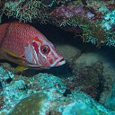 ���� ������, ������ - ��������� 23 ������� 2016 � ������ ���� �����