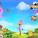  , , 47  -  5  2017    -