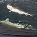 ���� �������, �������� - ��������� 6 ������� 2016 � ������ ���� ����������