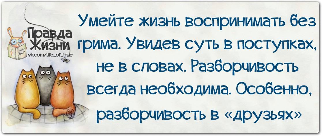 Правда жизни цитаты. Правда жизни картинки. Правда жизни цитаты в картинках. Смешные цитаты с картинками правда жизни.