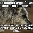 ���� �������, ������ - ��������� 5 ������ 2017 � ������ ������ ��������