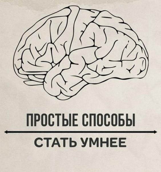BEST | , ,  - 19  2017  10:06