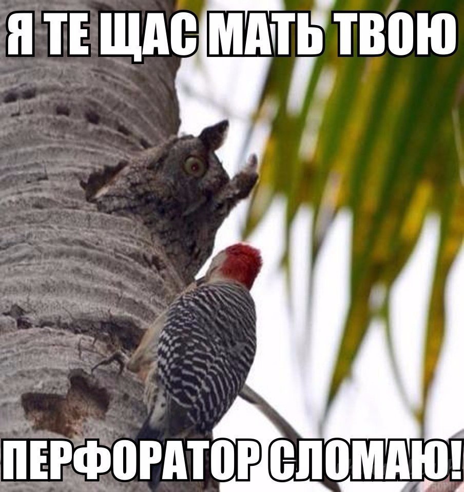  - 18  2017  15:09