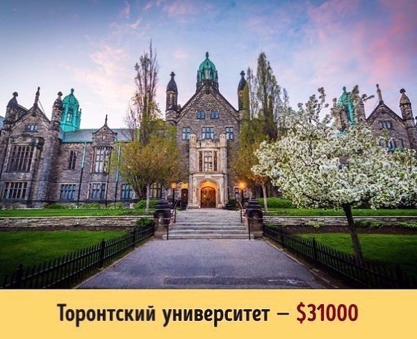 Сколько стоит образование в разных университетах мира - 9