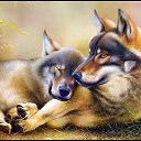  , -, 45  -  22  2017    