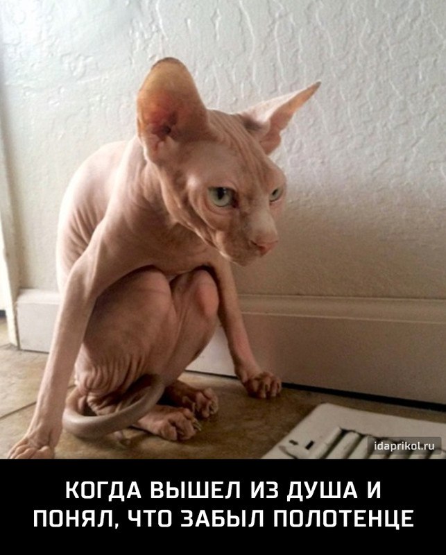 ����� ������....