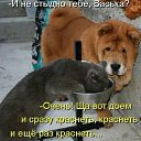 ���� ������, ���������, 49 ��� - ��������� 19 ������ 2017 � ������ ���� ����������