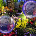 ���� Mahmoud Gamal, �������, 52 ���� - ��������� 13 ������ 2017 � ������ ���� ����������