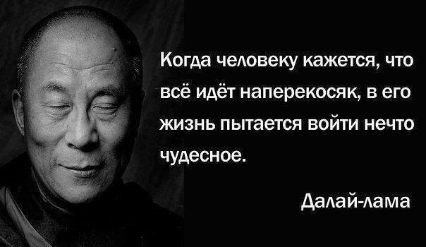 BEST | , ,  - 31  2016  18:04