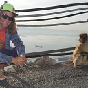 ���� ����, �����, 40 ��� - ��������� 18 ������ 2017 � ������ ���� ����������