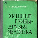 ���� Vik, ���� - ��������� 30 ������ 2016 � ������ ���� ����������.�