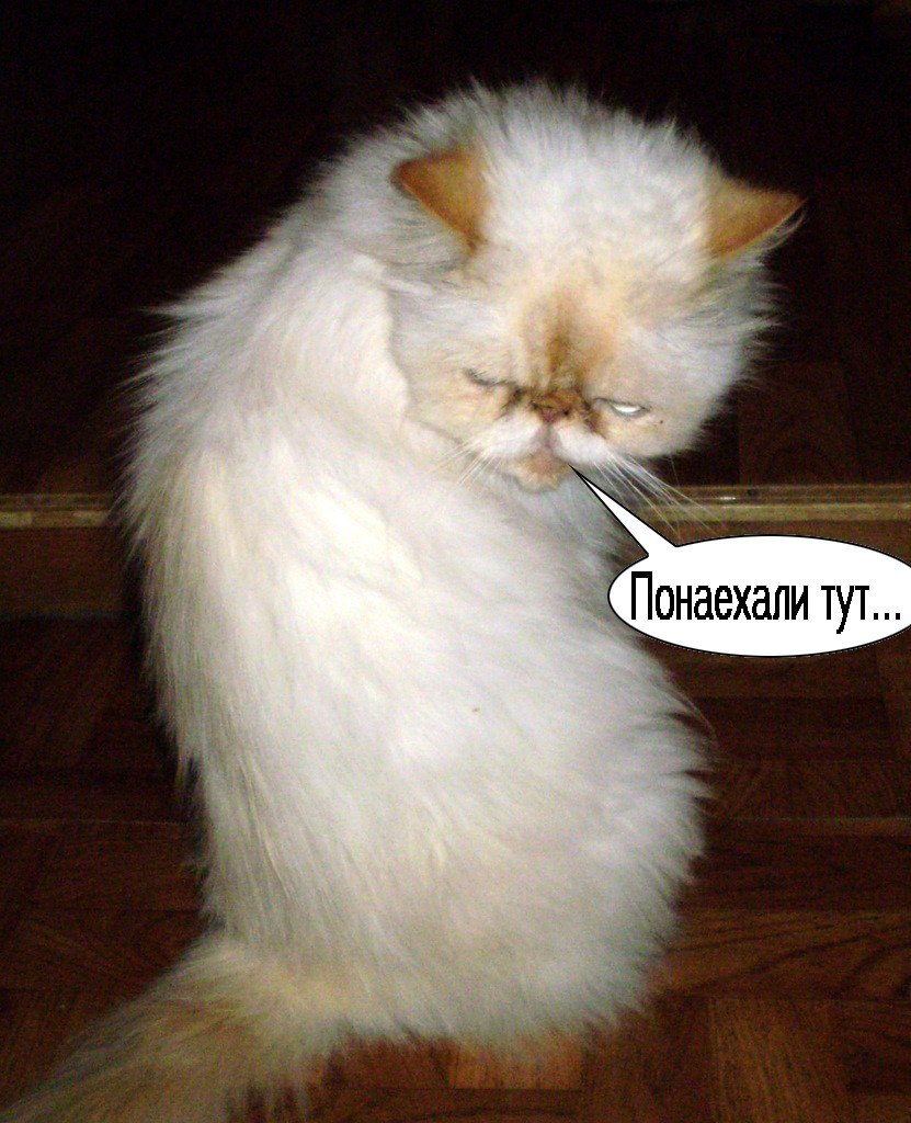 хозяин съемного жилья