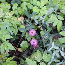 ���� �������, ��������, 47 ��� - ��������� 2 ������� 2016 � ������ ���� ����������