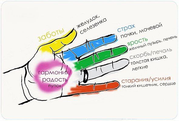 Секрет гармонии тела и души! Оказывается, человеческие органы неразрывно связаны с пальцами. Джин ...