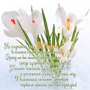 � ����������, ���� �������!