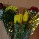 ���� E��������, ������, 43 ���� - ��������� 23 ������� 2016 � ������ ���� ����������