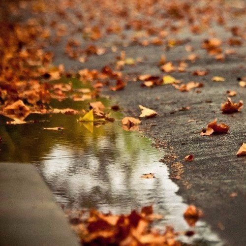      ,  , ,    , , ... - 2
