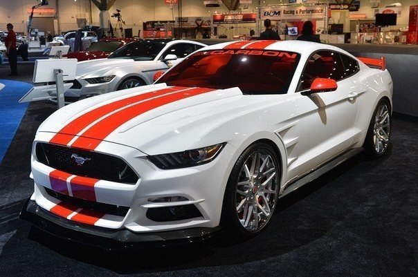 Ford Mustang Customs - 7