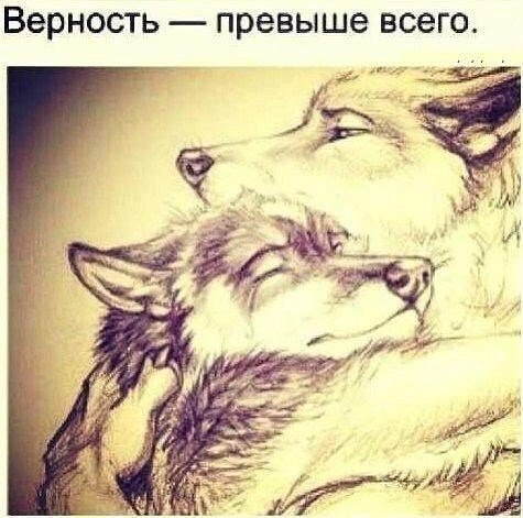 , ,  - 7  2016  17:05