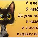 ���� ����, ������, 35 ��� - ��������� 7 ������ 2017 � ������ ���� ����������