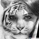 ���� Alter, �������, 38 ��� - ��������� 10 ������� 2016 � ������ ���� ����������