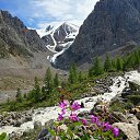  , -, 53  -  21  2017    