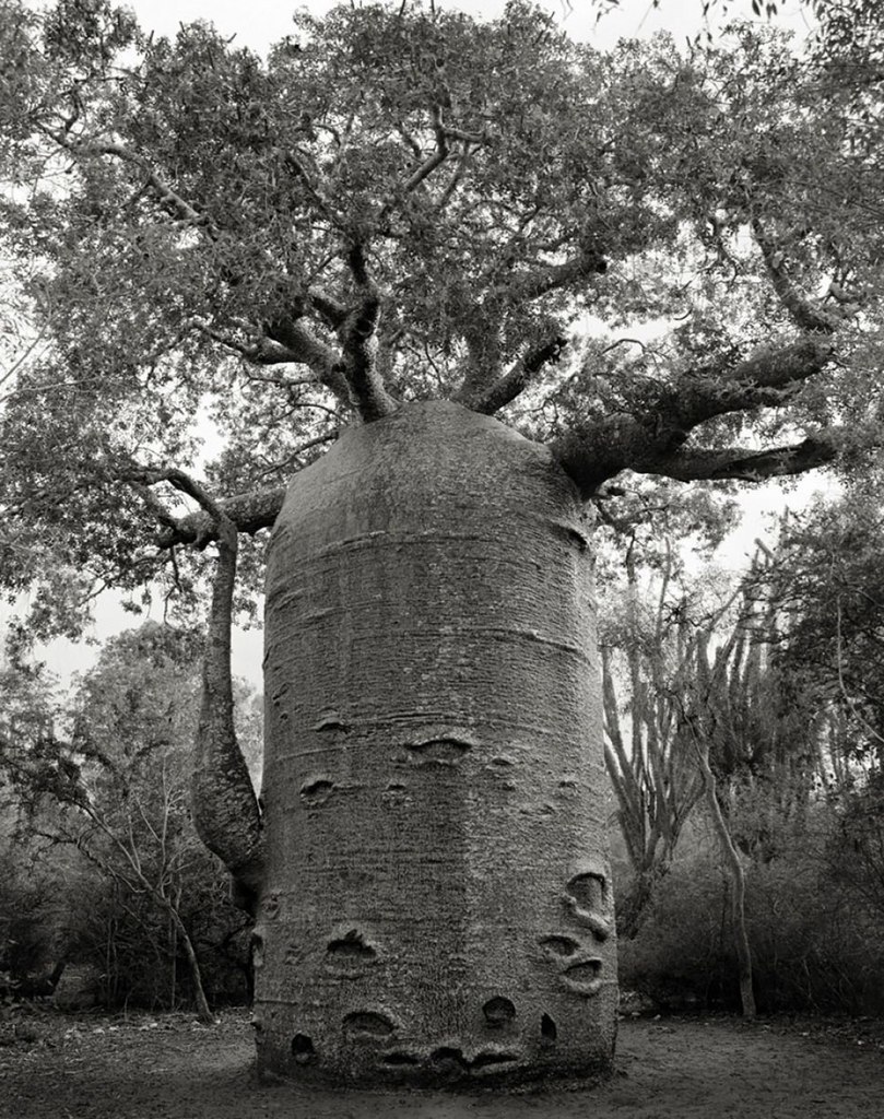   -   (Beth Moon)   ,    ... - 6