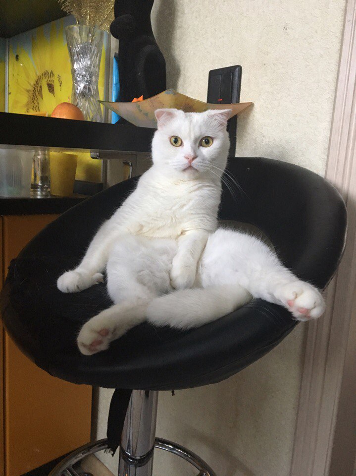  ?  