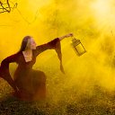 ���� ������, ������ - ��������� 15 ����� 2017 � ������ ���� �����������