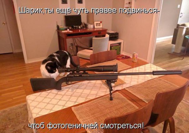    - 10  2016  21:16