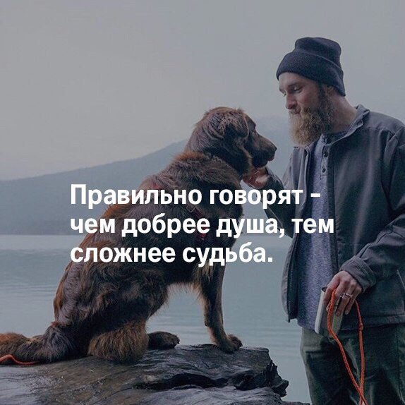  | ,  - 20  2017  16:14