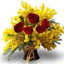 ���� Roberto, �������, 68 ��� - ��������� 8 ����� 2017 � ������ ������ ��������