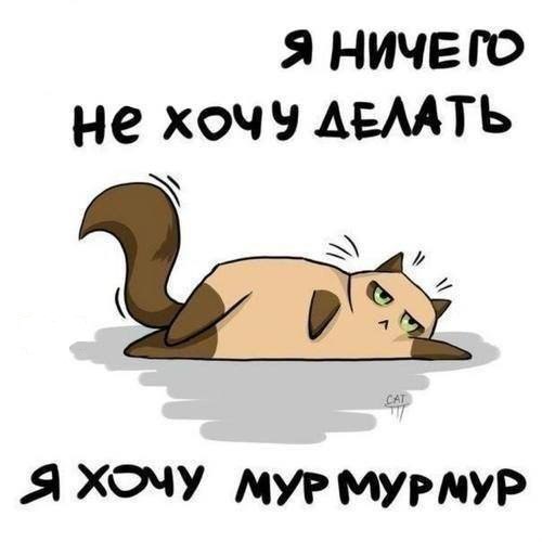  - 8  2016  21:48