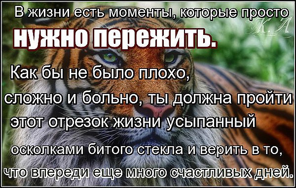 .https://fotostrana.ru/away?to=/sl/kxC2 - 23  2016  16:40