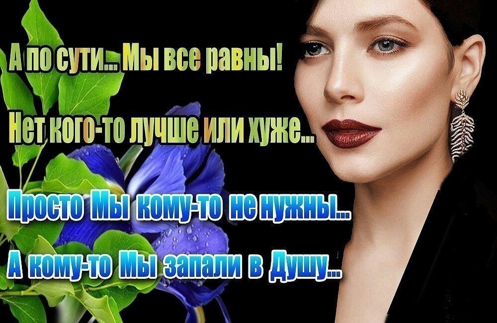    - 11  2016  19:44