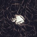 ���� �����, ������� - ��������� 15 ������� 2016 � ������ ������ ��������