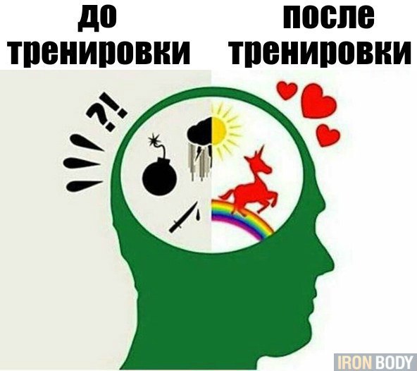    ! - 16  2017  19:33