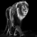 ���� Host, ����, 61 ��� - ��������� 28 ������ 2016 � ������ �pravda�