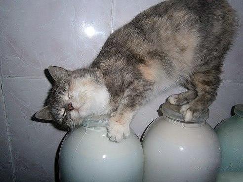 @.  !:-)