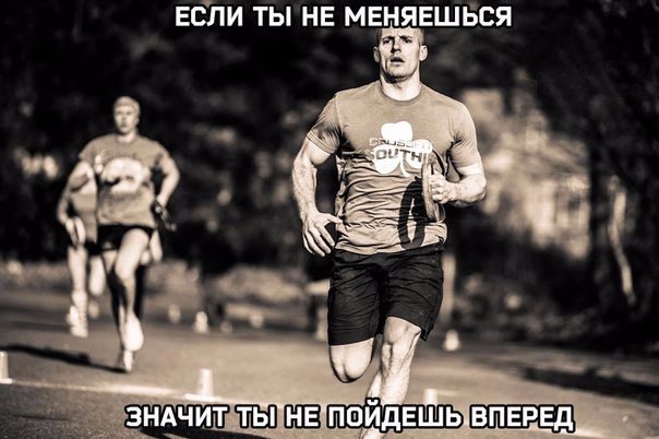 SportFeed - 20  2016  20:14
