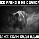 ���� �������, ������, 46 ��� - ��������� 12 �������� 2016 � ������ ������ ��������