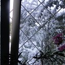 ���� �����, ����������� - ��������� 9 ������� 2016 � ������ ������ ��������