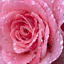 ���� ���������, ������ - ��������� 28 ������ 2016 � ������ �������� ��������