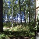  Slava, , 61  -  7  2017   