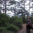 ���� �����, ������, 57 ��� - ��������� 24 �������� 2016 � ������ ���� ����������